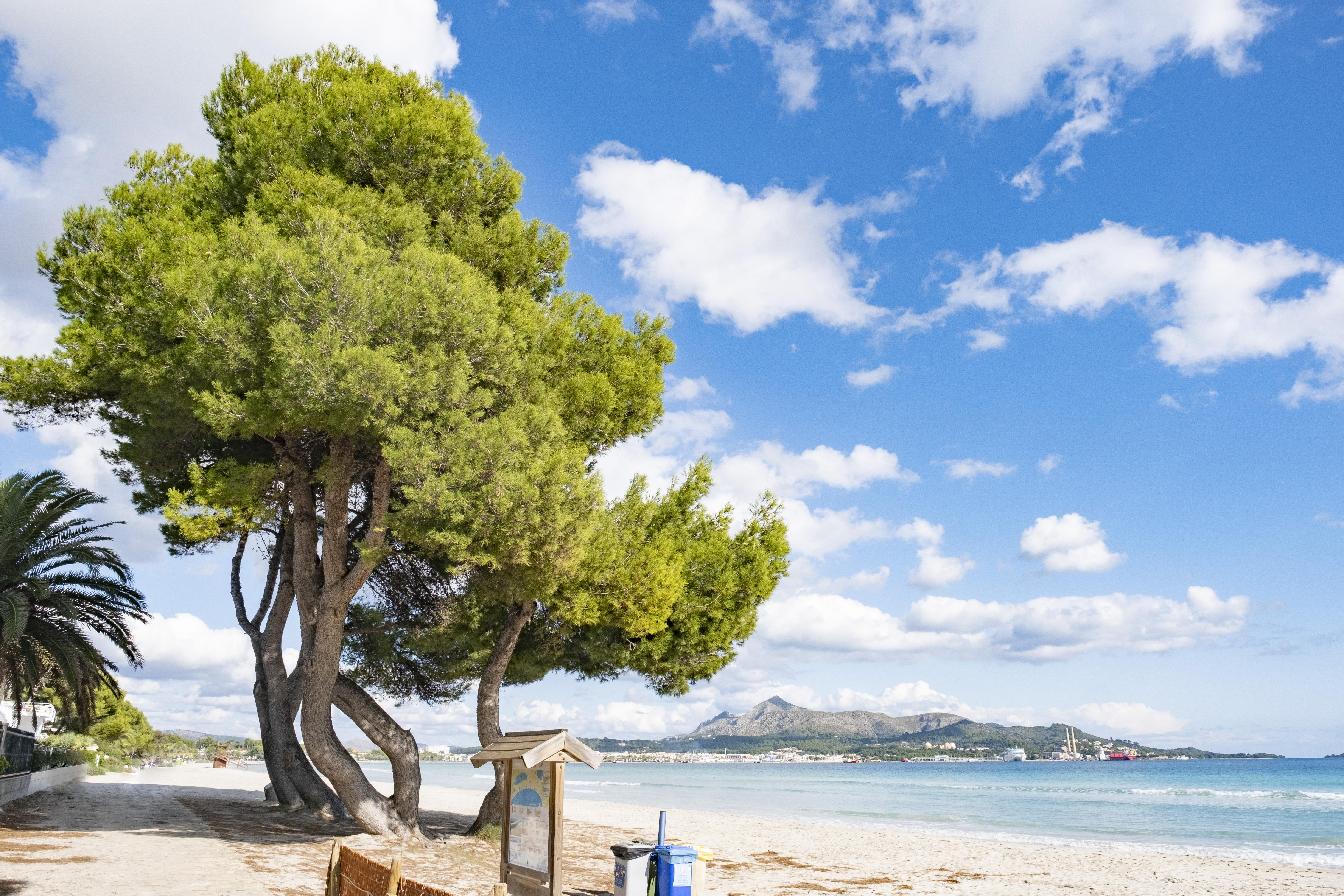 Eix Platja Daurada Hotel & Spa 캔 피카폴트 외부 사진